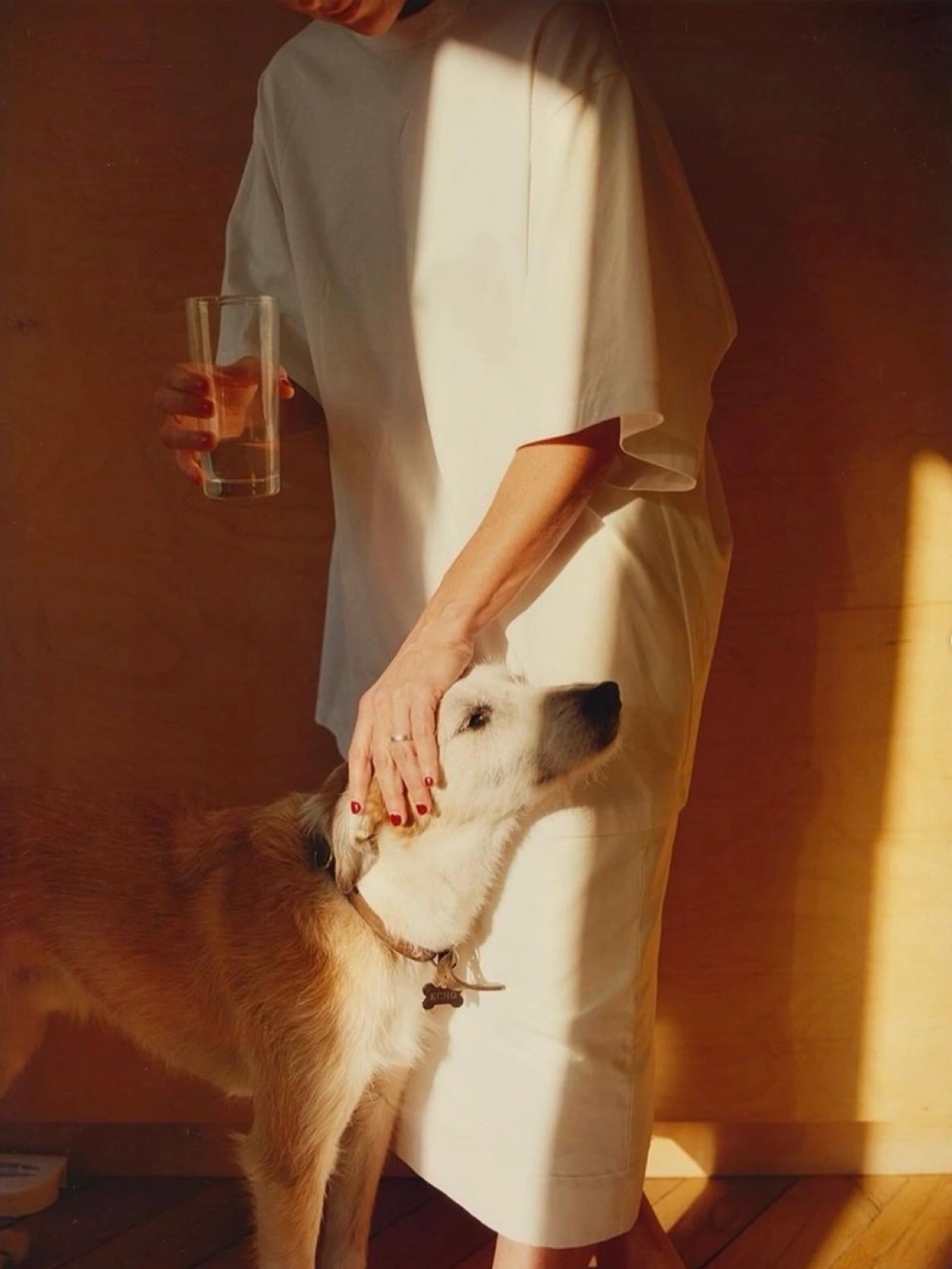 A woman gently petting a dog while holding a glass of water