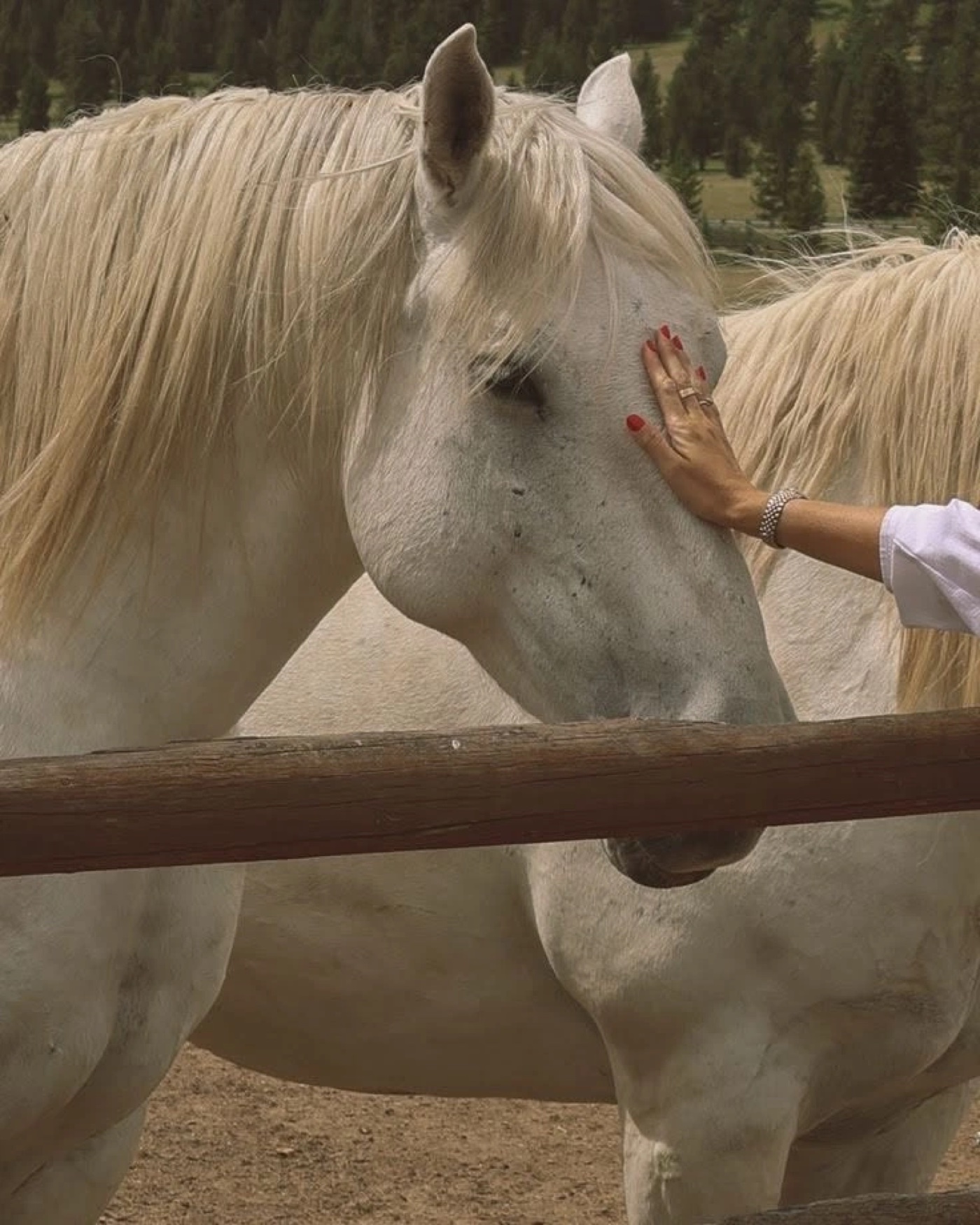 A volunteer offering comfort during an equine therapy session